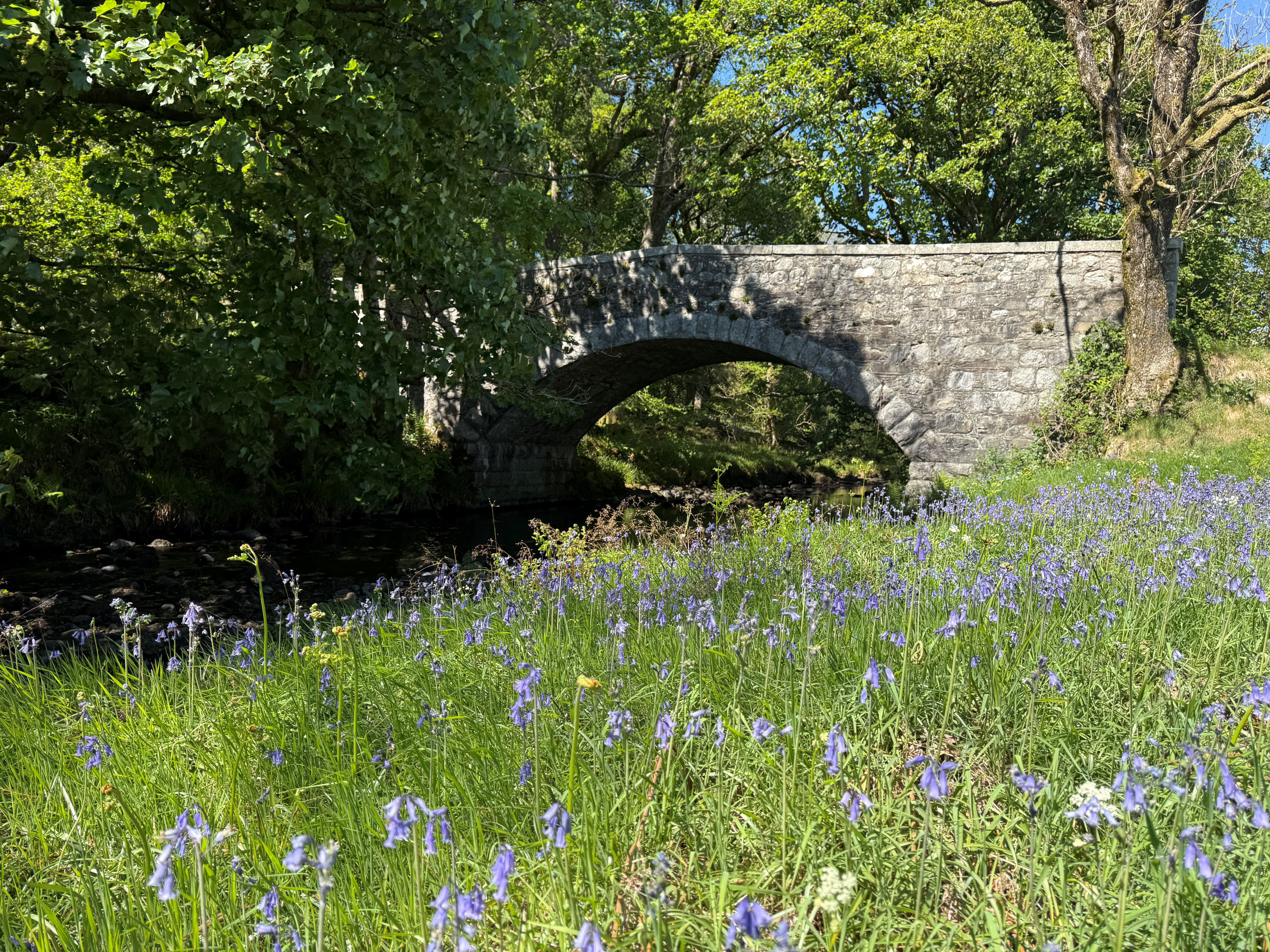 Images of the glorious Cally Estate