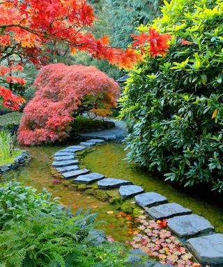 Stepping stones and Fall color the Japanese Garden, Butchart Garden