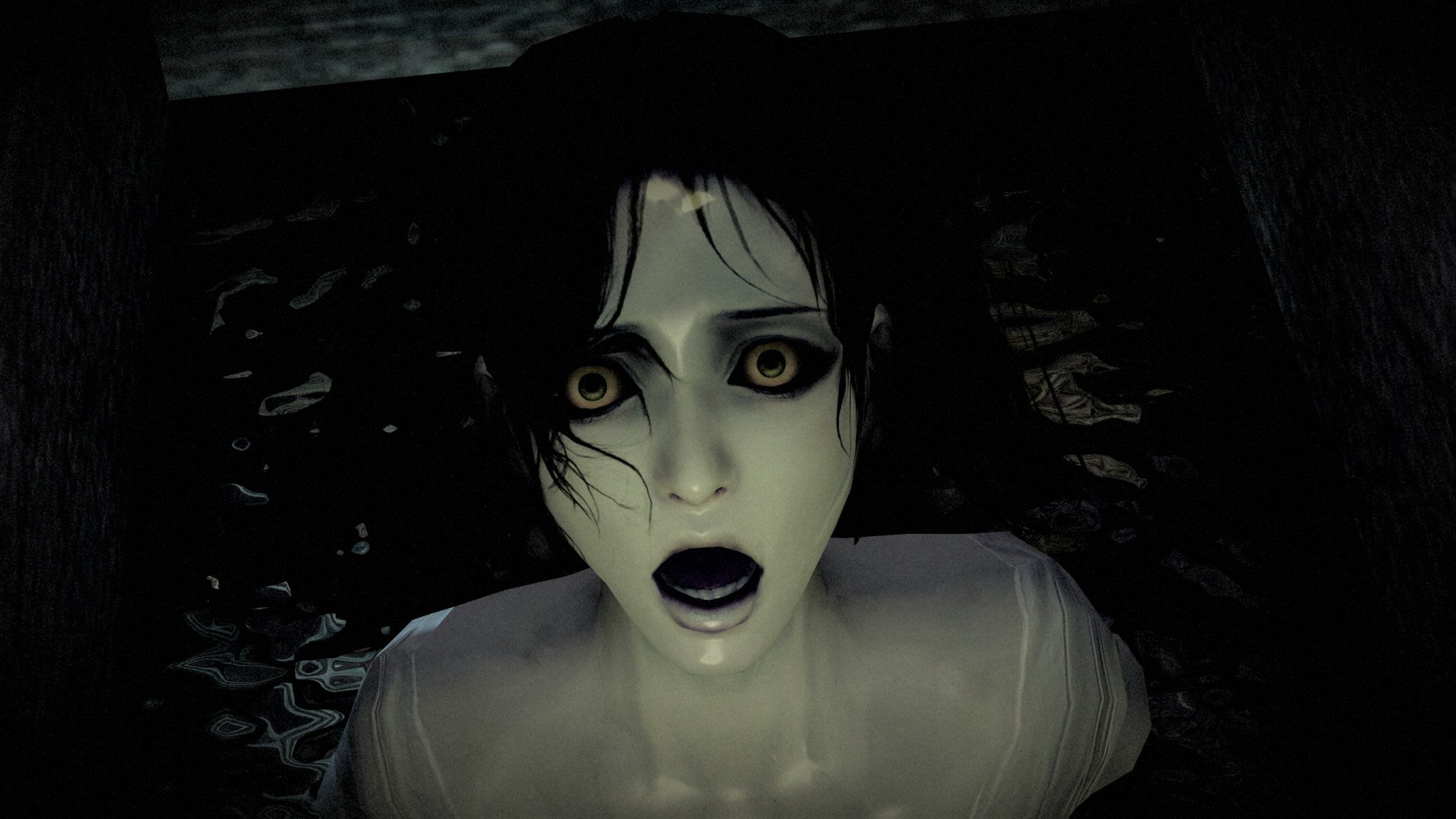 Fatal Frame: Maiden of Black Water PC review — A curious snapshot