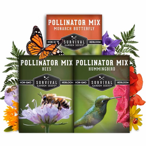 Survival Garden Seeds 3 variety pollinator flower seeds Lowes