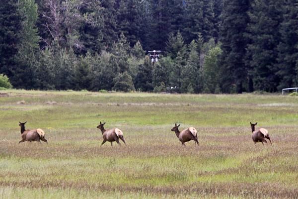 Some of the local residents along the course didn