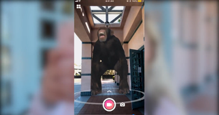 Best AR Apps for iOS (So Far) | Tom's Guide