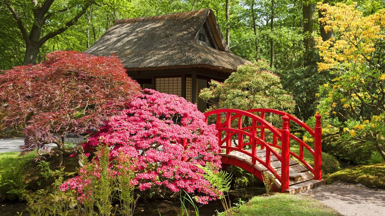 Japanese tea house, azalea, garden