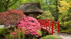 Japanese tea house, azalea, garden