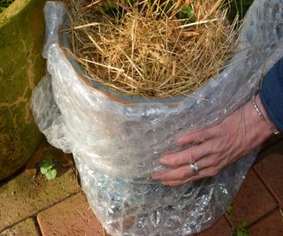 Use bubblewrap and straw to insulate containers in winter