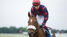 Oisin Murphy, who is bidding to jump in the Hickstead speed Derby, in action on the Flat at York Racecourse
