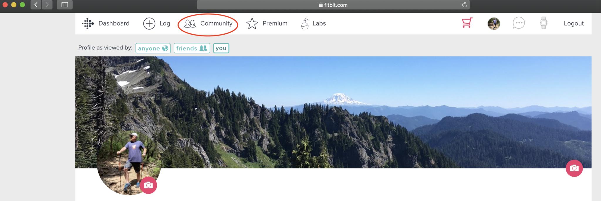 Fitbit web export 4