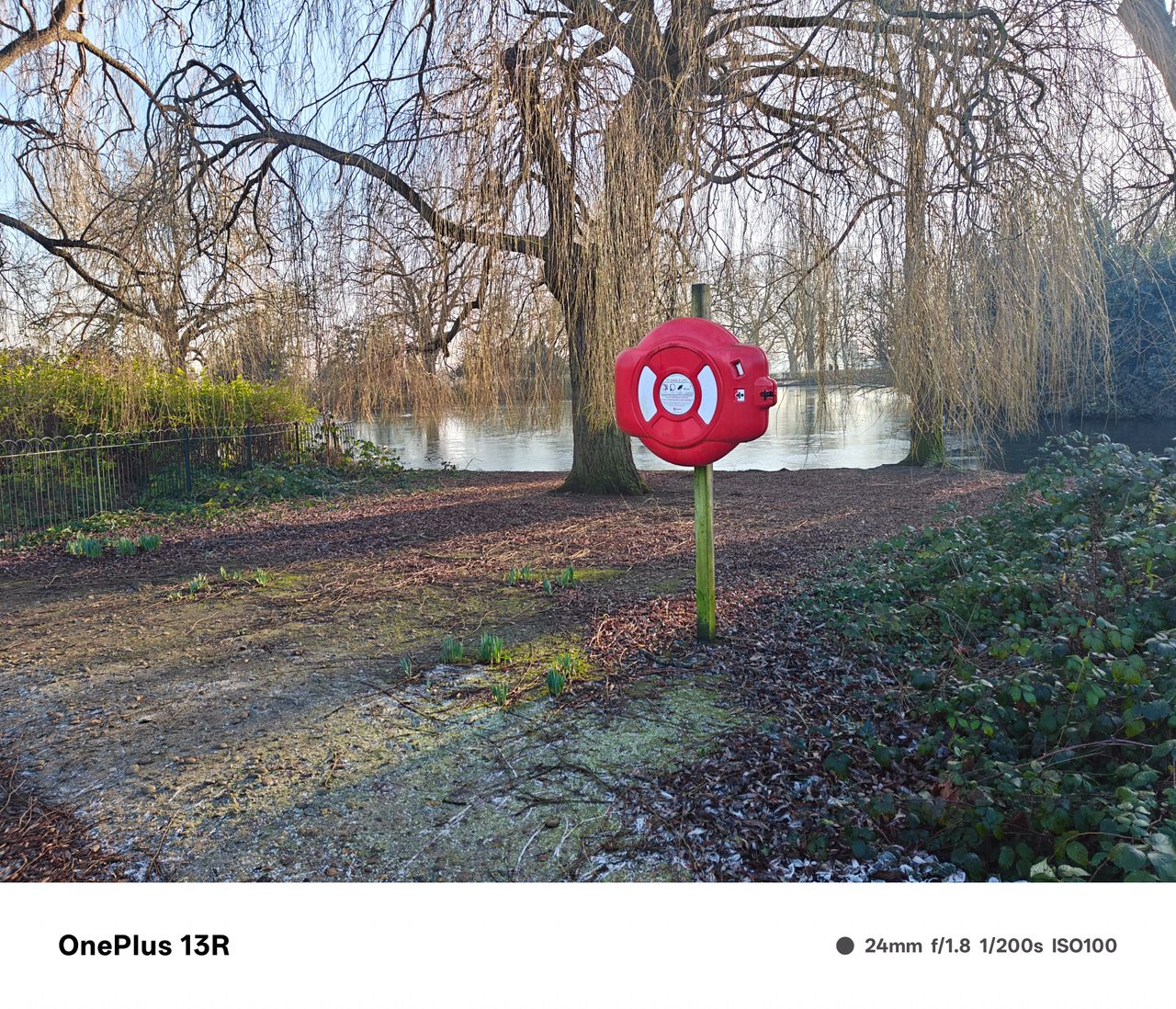 Life ring in front a lake surrounded by trees with no leaves