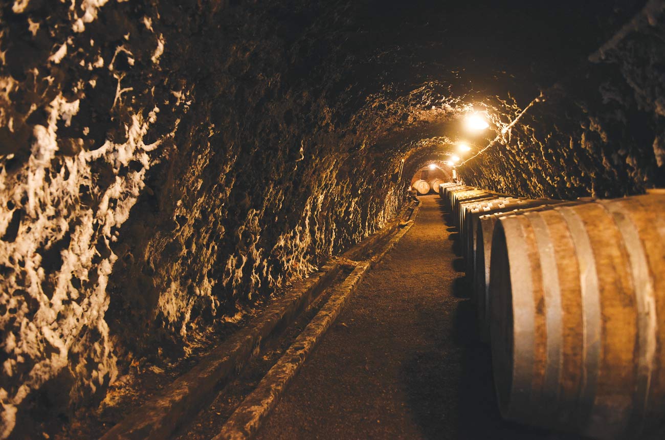 A row of wine barrels in an underground tunnel