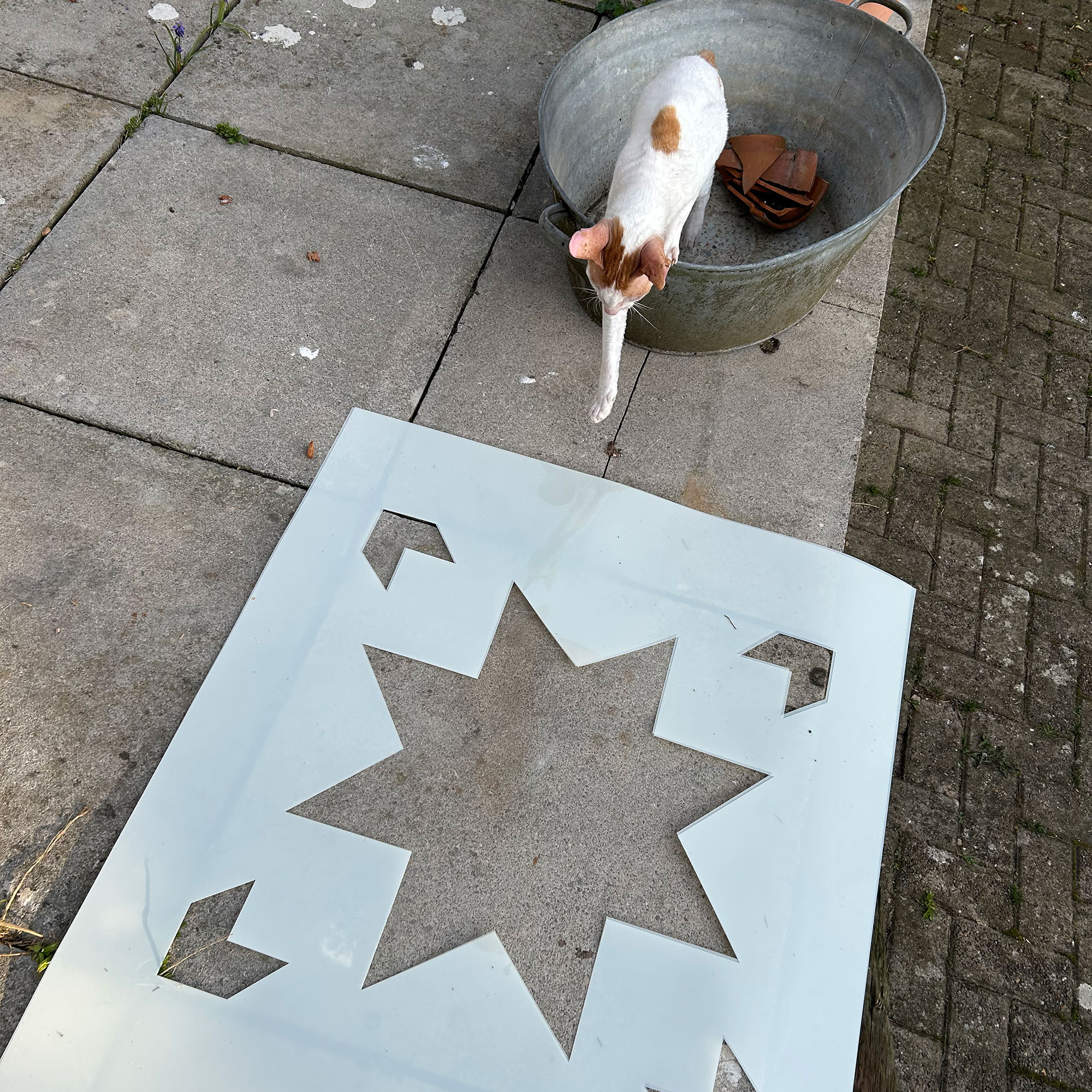 Star stencil sitting on patio slab, beside cat in galvanised steel planter