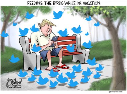 Political cartoon U.S. Trump tweets golf vacation