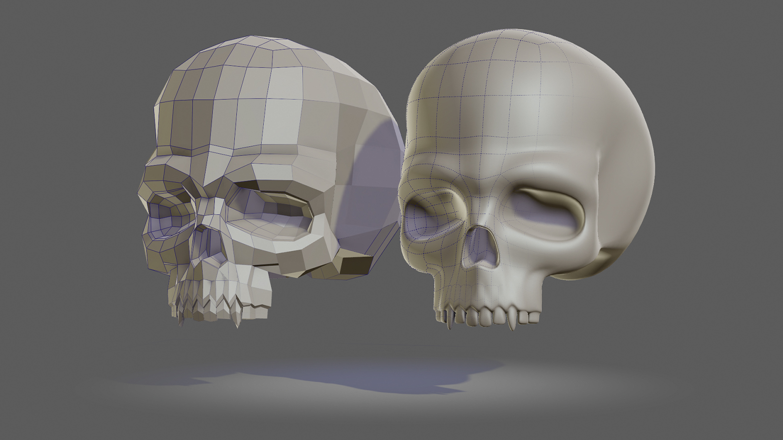 A model of a skull using 3D polygons