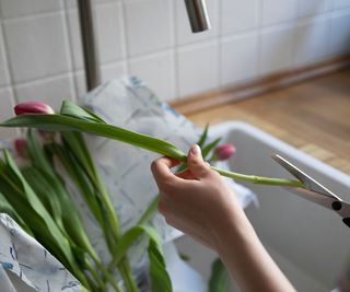 Someone cutting flower stems in a sink