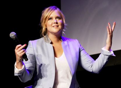 Reddit users have been degrading Amy Schumer's new book, "The Girl With the Lower Back Tattoo."