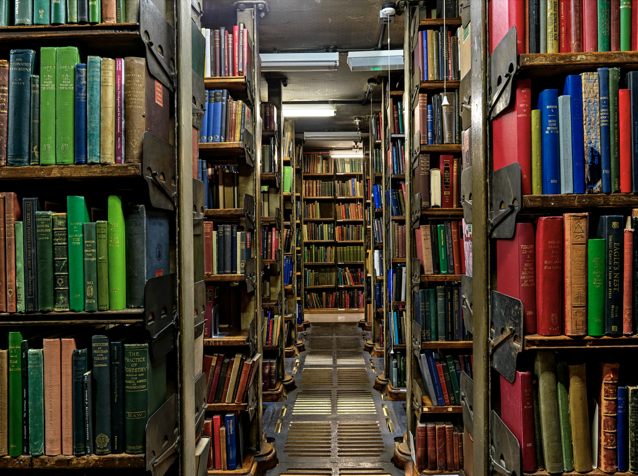 Shelves and shelves of colourful books