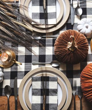 West Elm Thanksgiving collection