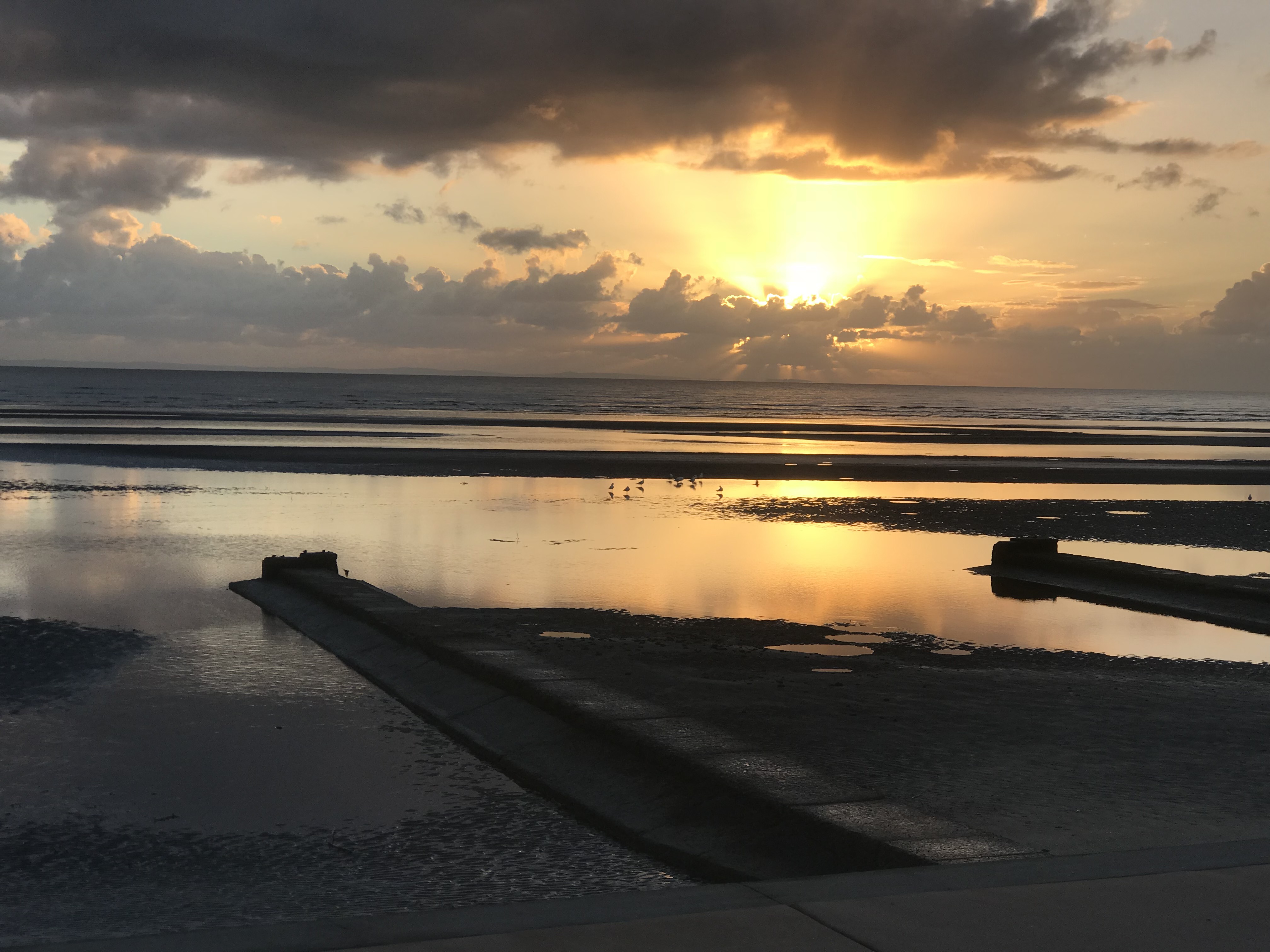 GuruShots - March 2026