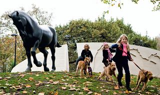 Irish Terriers from Country Life