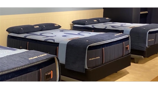 A selection of Stearns & Foster Mattresses in a showroom