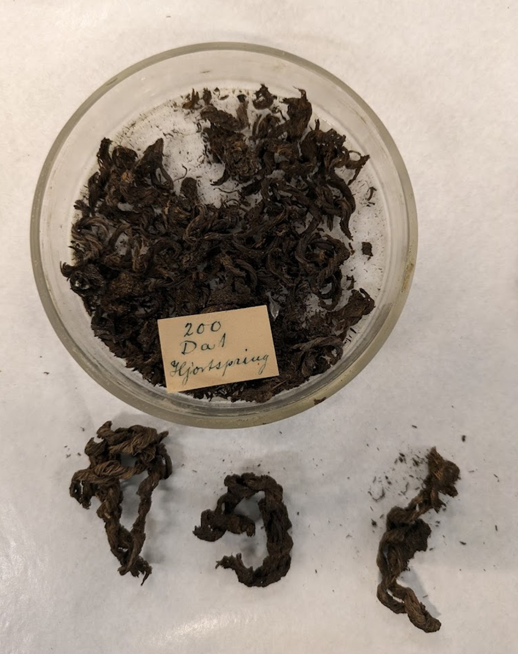 Photo of cordage or rope fragments from the Hjortspring boat in a clear glass dish on a white countertop.