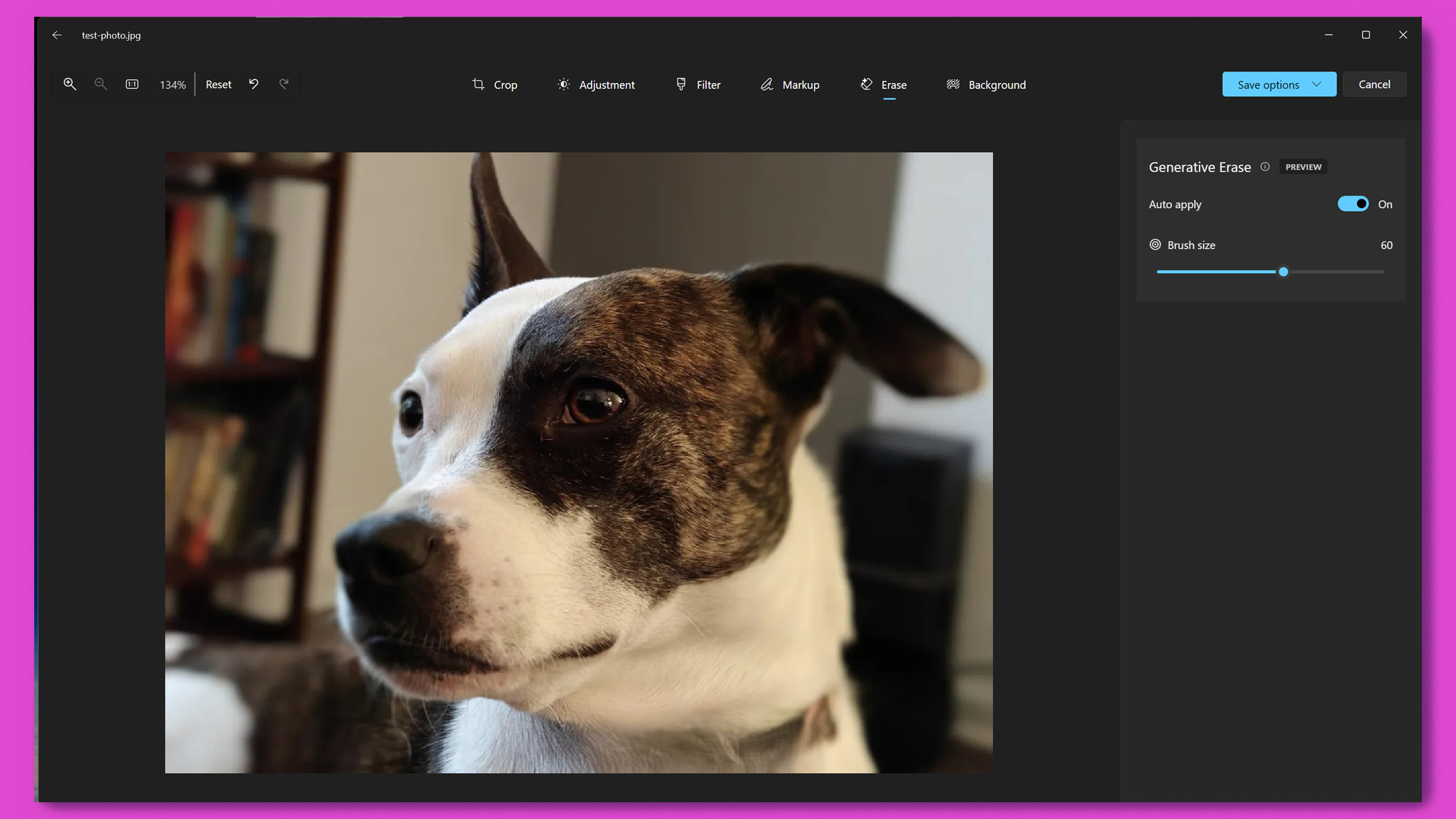 A photo of a dog in the Windows Photos app after its color was erased using the generative erase tool