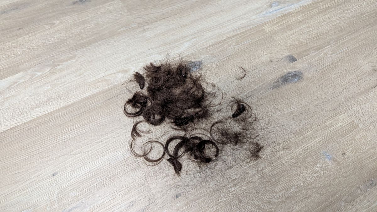 Chopped up hair on wooden floor