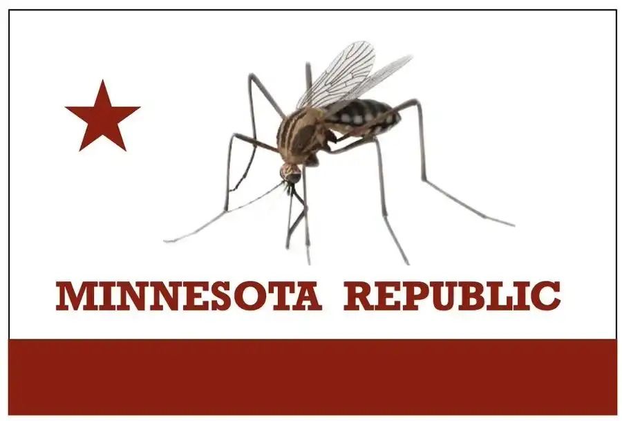 Minnesota state flag