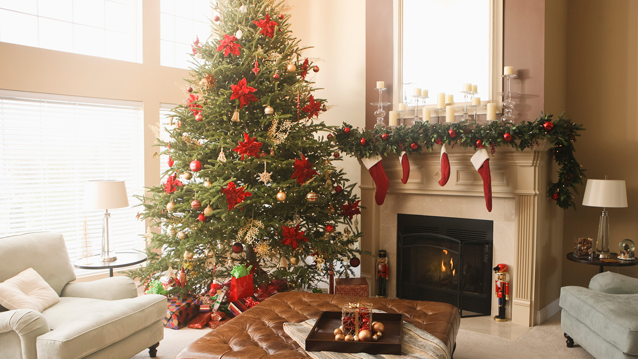 How To Keep A Christmas Tree Alive And Fresh Woman Home