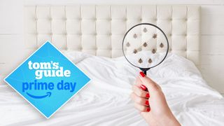 A hand holds up a magnifying glass in front of a mattress, showing bed bugs in the headboard. A Tom's Guide Prime Day deals badge, left.