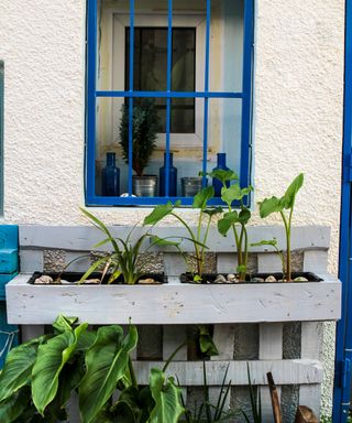 pallet garden wall ideas window box