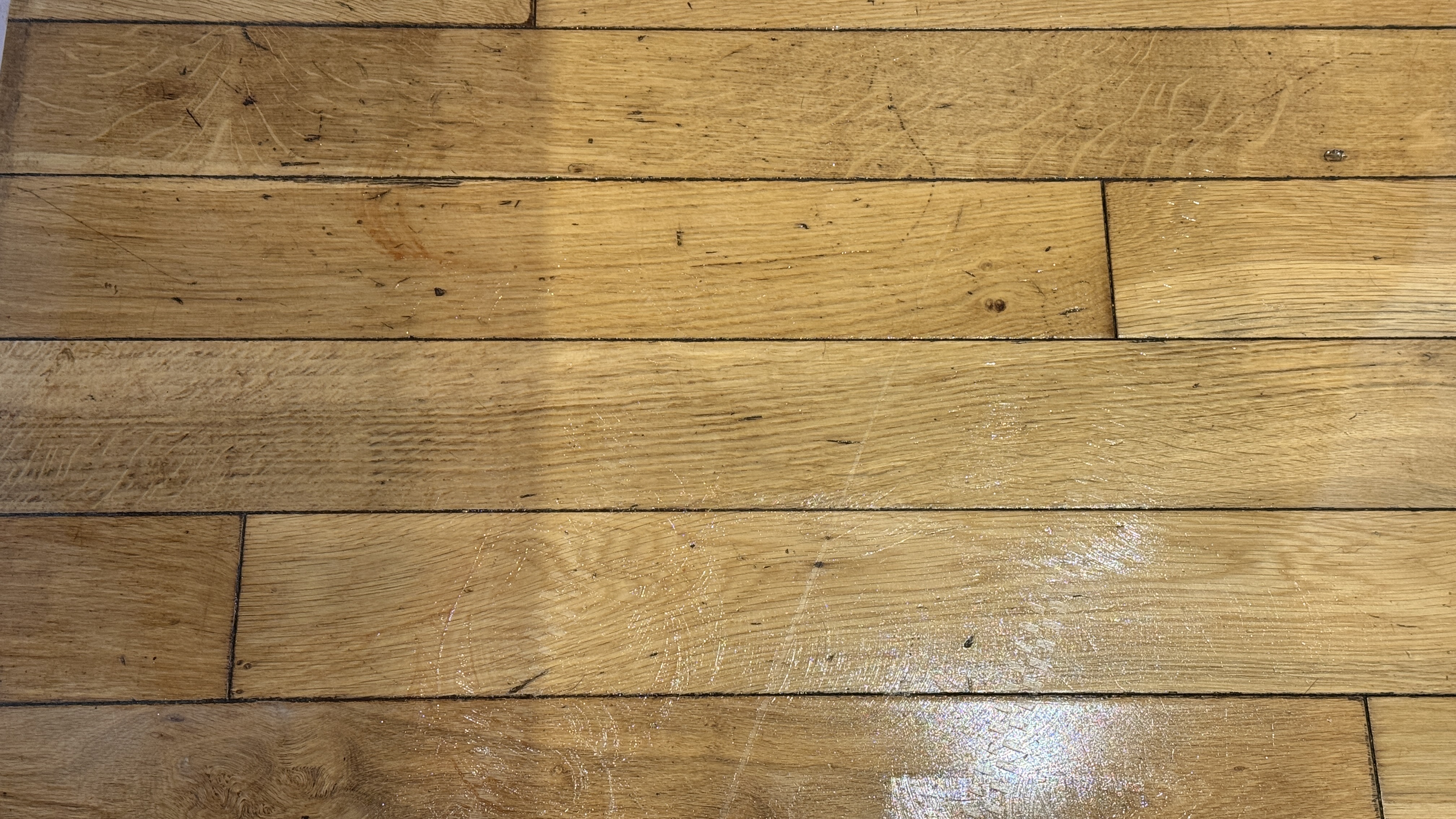 Roborock Qrevo Curv 2 Pro cleaning a spillage from a hard floor