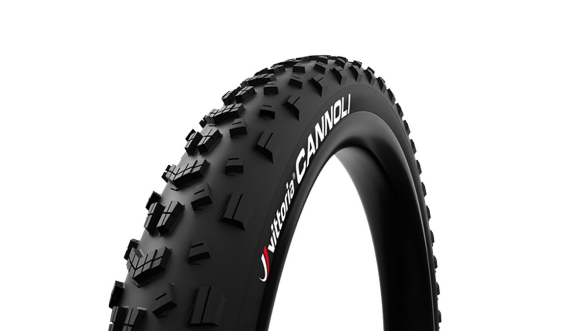 Ruote in Carbonio per la Mountain Bike: vantaggi e costi