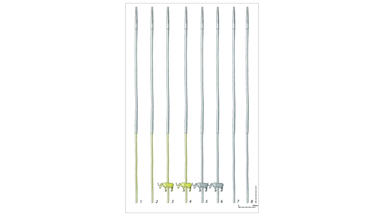 Schematic drawing of the tubes from the Maikop kurgan: 1&ndash;2) gold and silver tubes; 3&ndash;4) gold and silver tubes with gold bull figurines; 5&ndash;6) silver tubes with silver bull figurines; 7&ndash;8) silver tubes. Note that this figure shows the objects with the tips pointing upwards, as assumed by previous scholars.