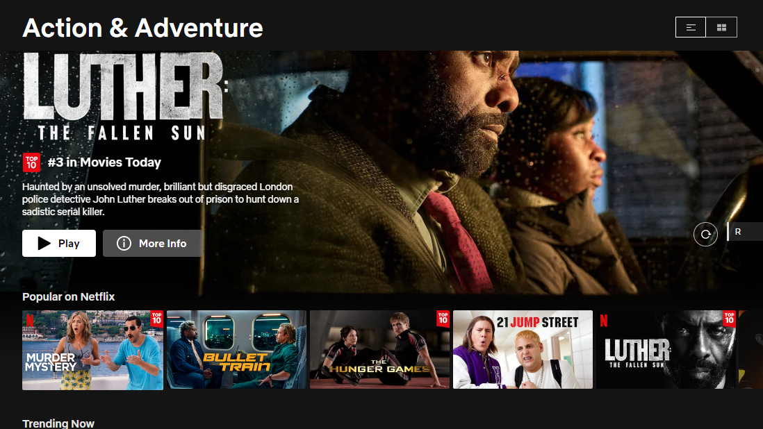 Discover secret hidden Netflix categories with these free plugins