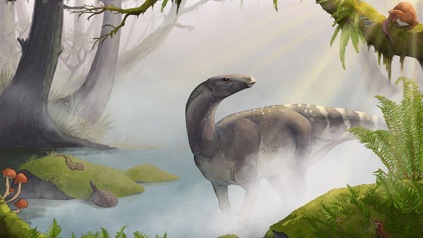 Elgol Dinosaur walking through shallow water in a forest (artist impression).