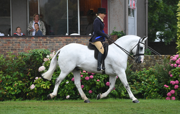 RIHS 29 07 2018