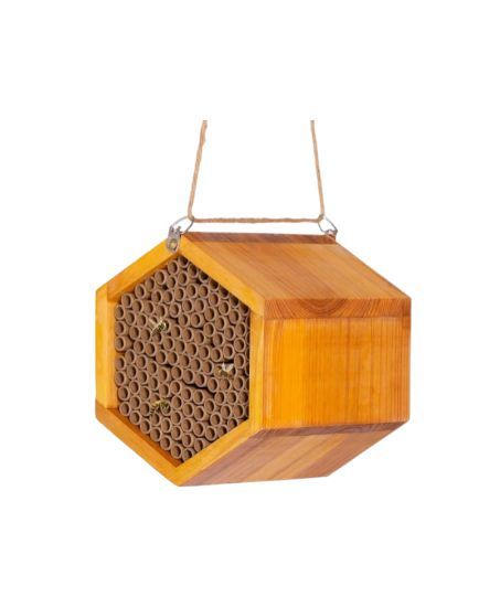 Mason Bee House 