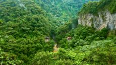 An aerial view of lush rainforest with cliffsides