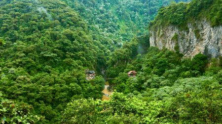 An aerial view of lush rainforest with cliffsides