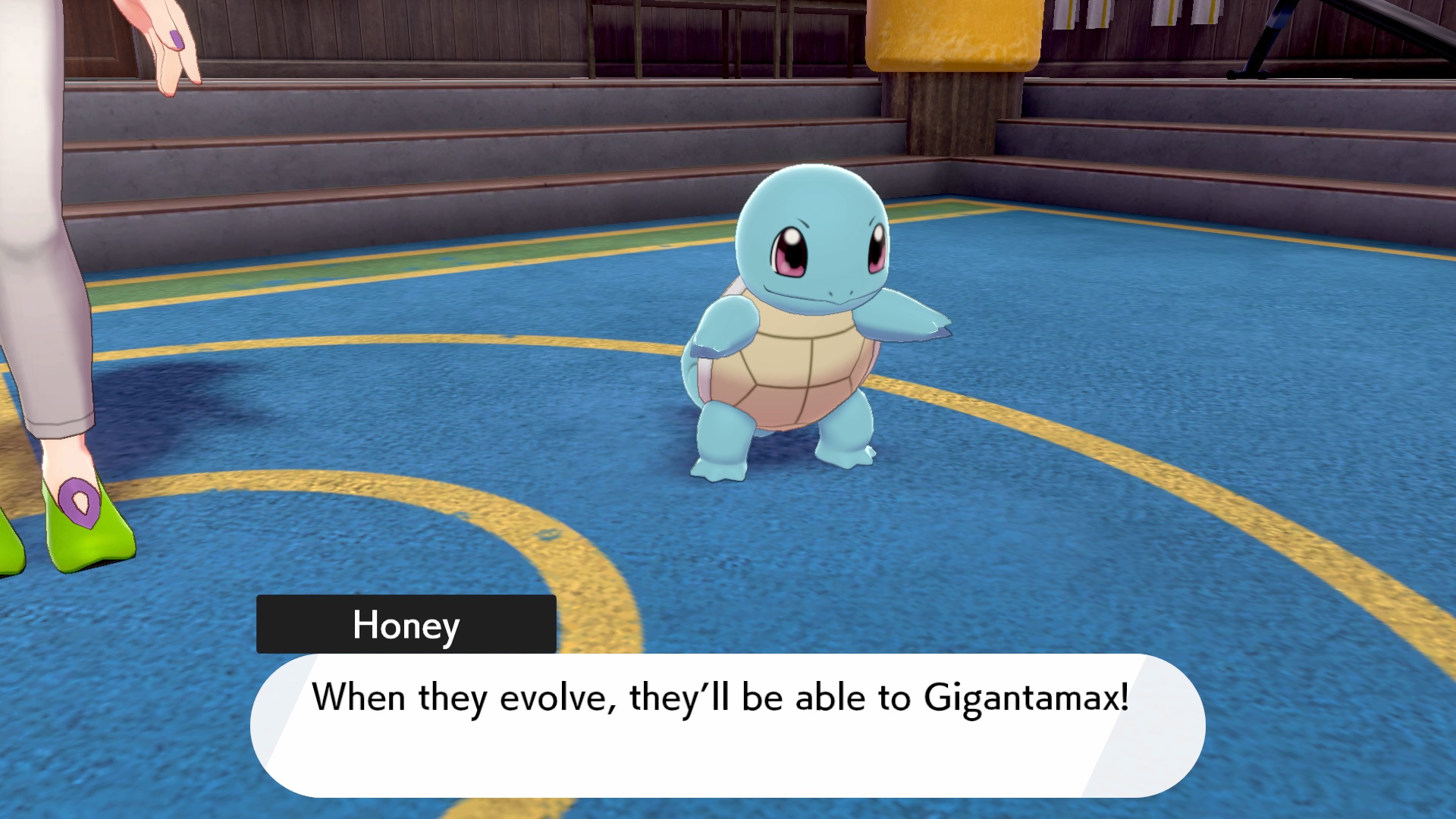 Pokemon Sword/Shield Isle of Armor Gigamax Blastoise, Venusaur