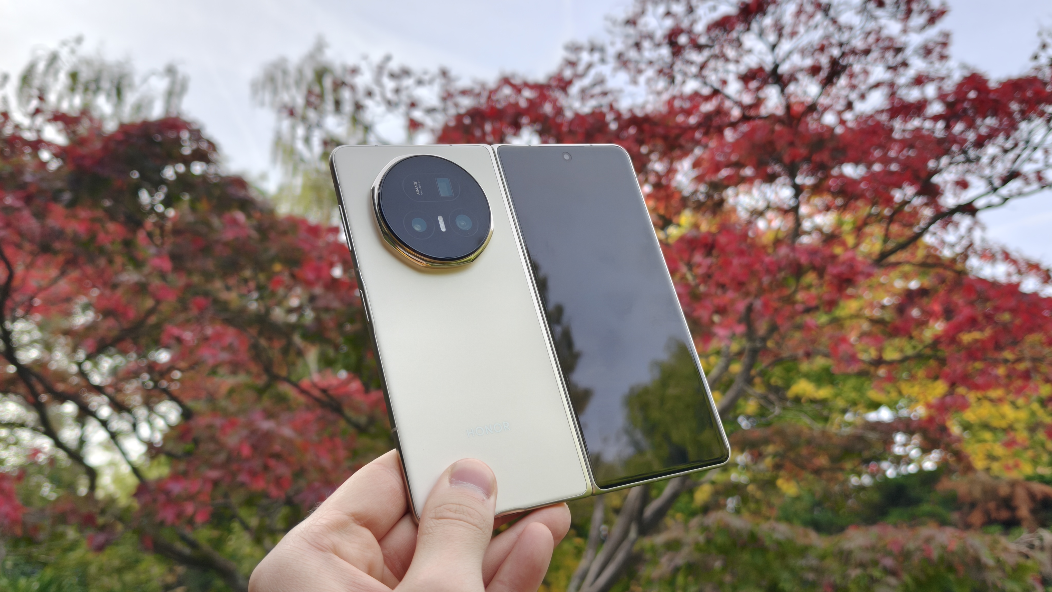 Honor Magic V5 unfolded, red tree in background