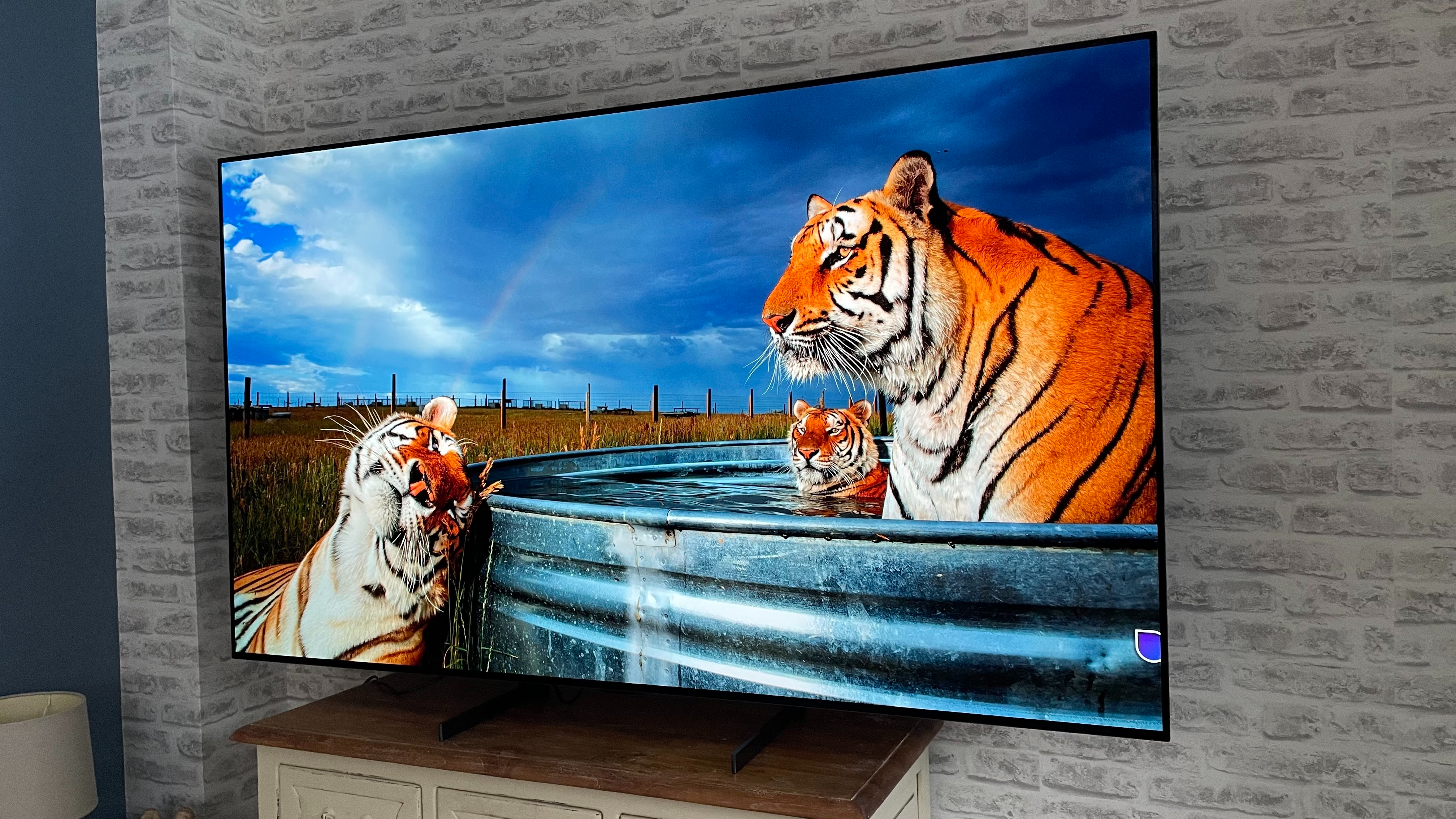 LG Z3 OLED TV showing image of tigers