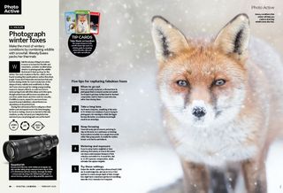 Image showing project nine of the Photo Active projects section in issue 290 (February 2025) of Digital Camera magazine - how to photograph foxes in wintry weather