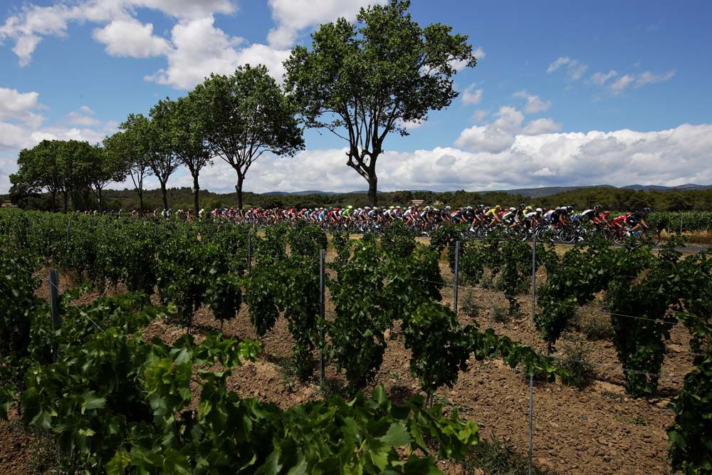 The peloton rides through the south of France