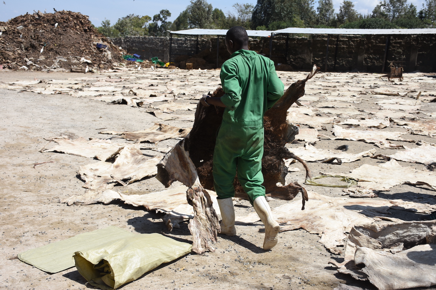 A-worker-carries-one-of-many-dried-donkey-skins-at-a-slaughterhouse-in-Kenya.-Credit-The-Donkey-Sanctuary