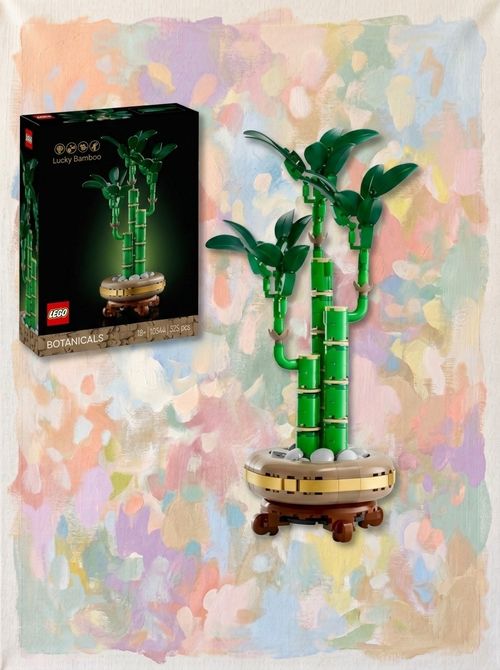 Lucky Bamboo 10344