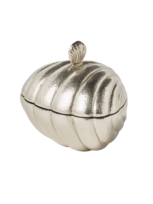 Shell Container Silver