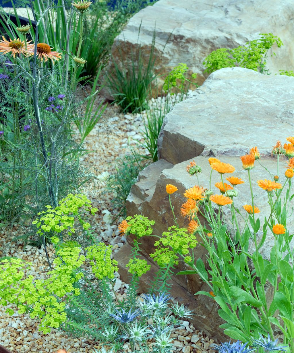 How to clean landscaping rocks simple methods that work Homes & Gardens