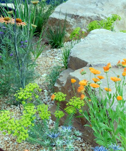 How To Clean Landscaping Rocks: Simple Methods That Work 