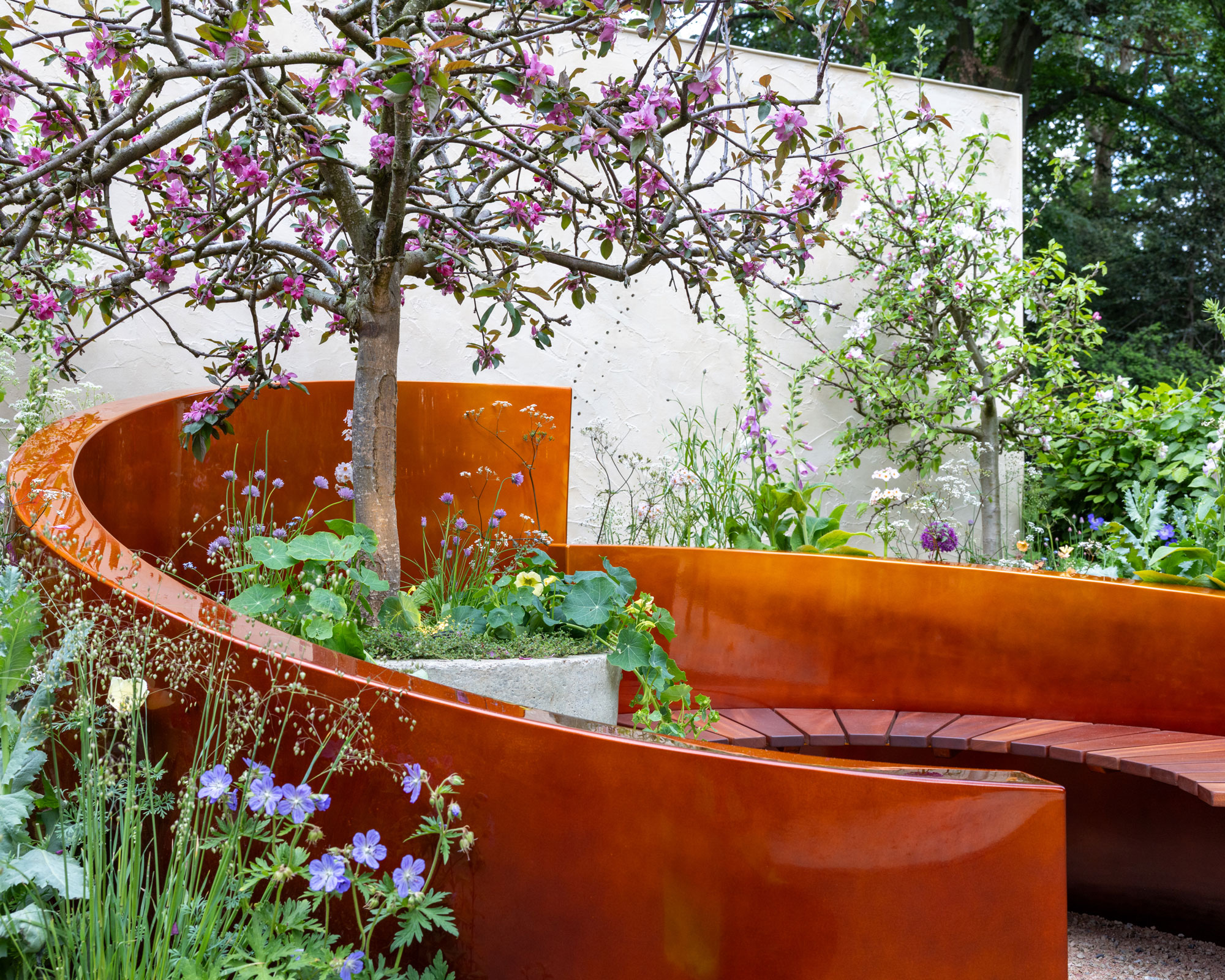 curved seating area with apple tree in blossom and other planting